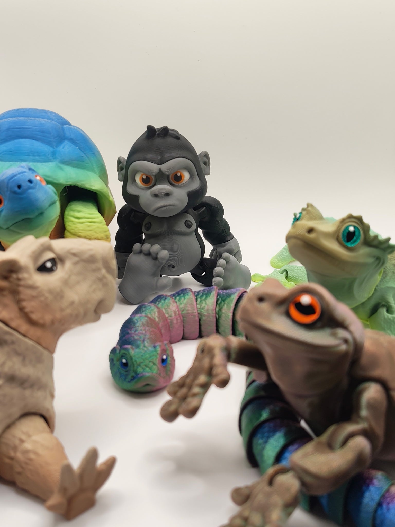 Animals