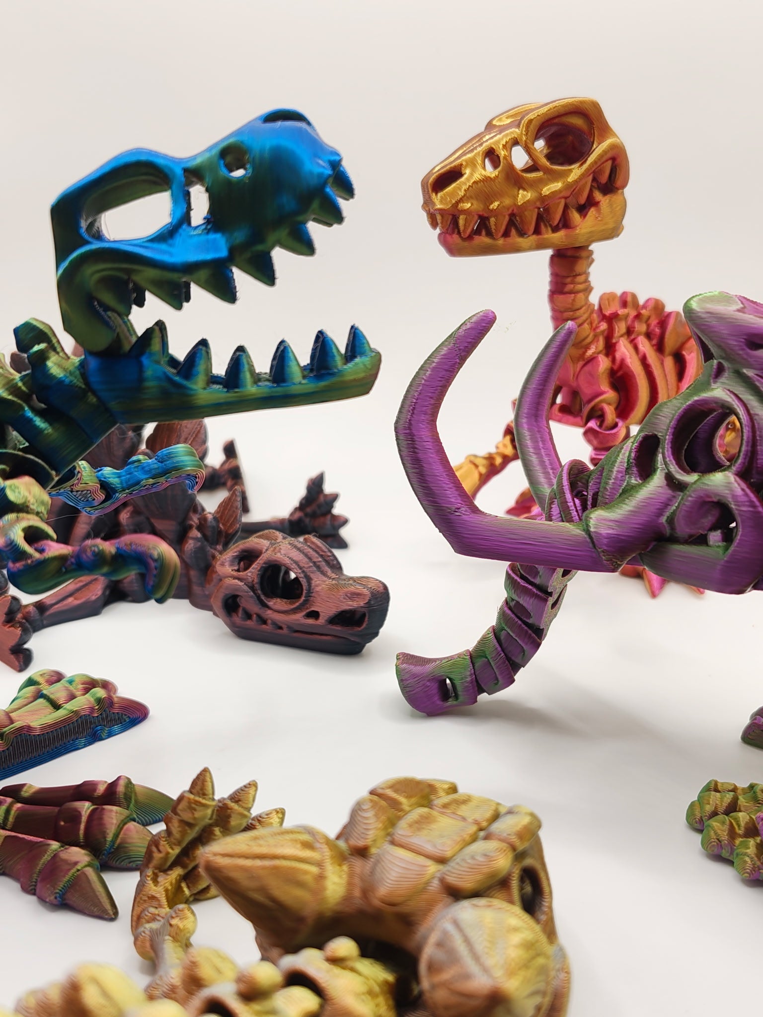 Fossils