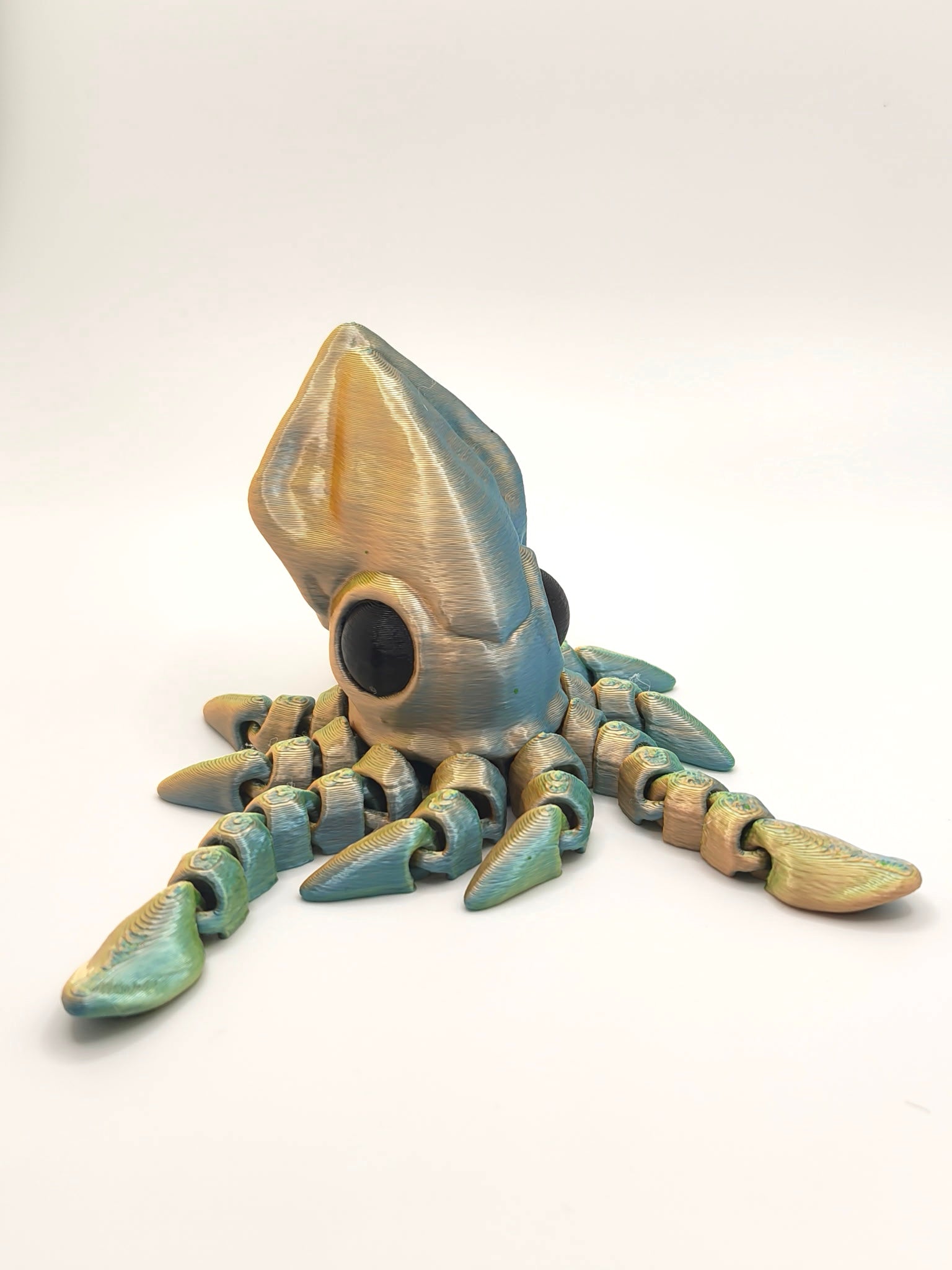 Squid