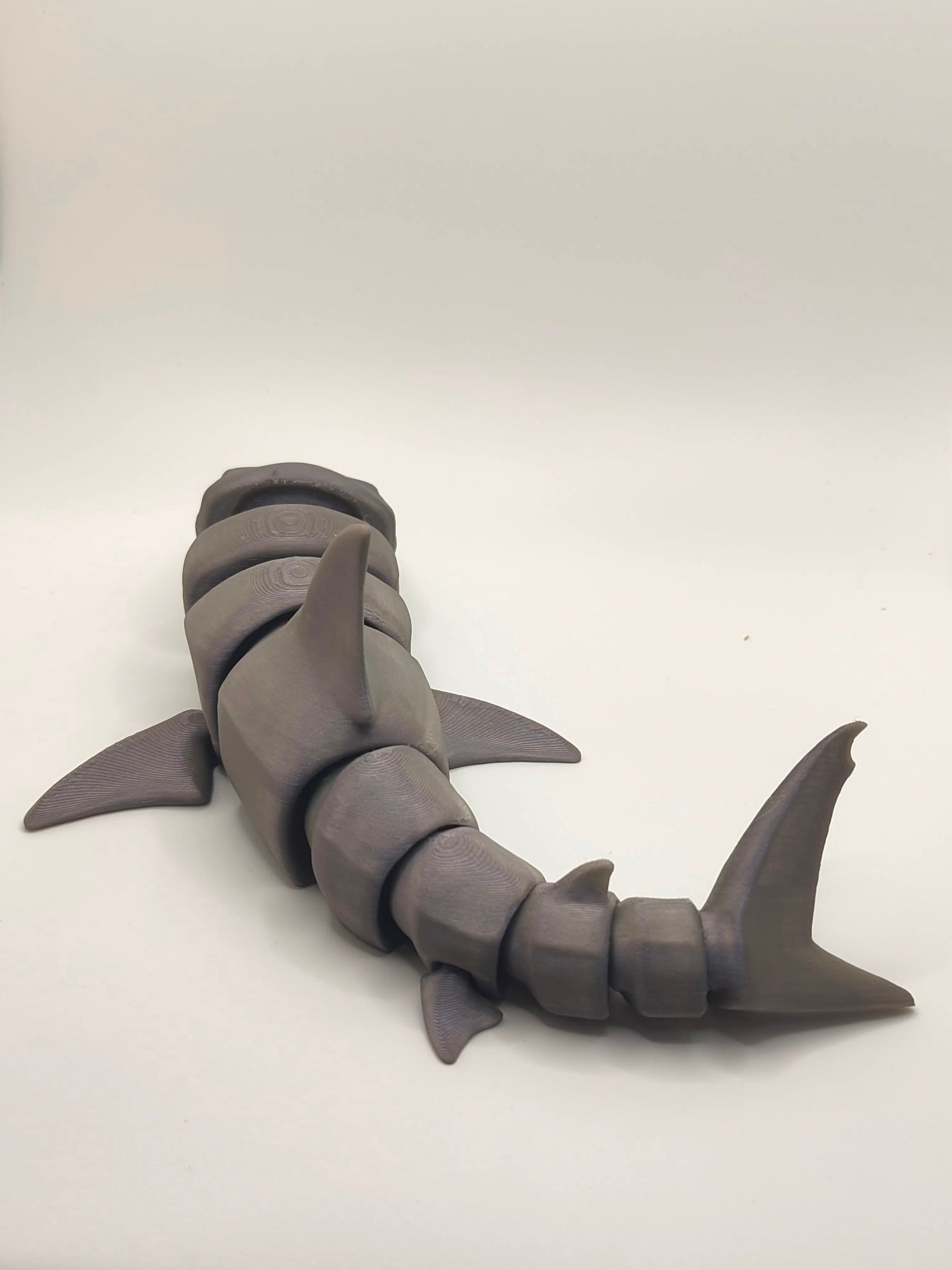 Great White Shark