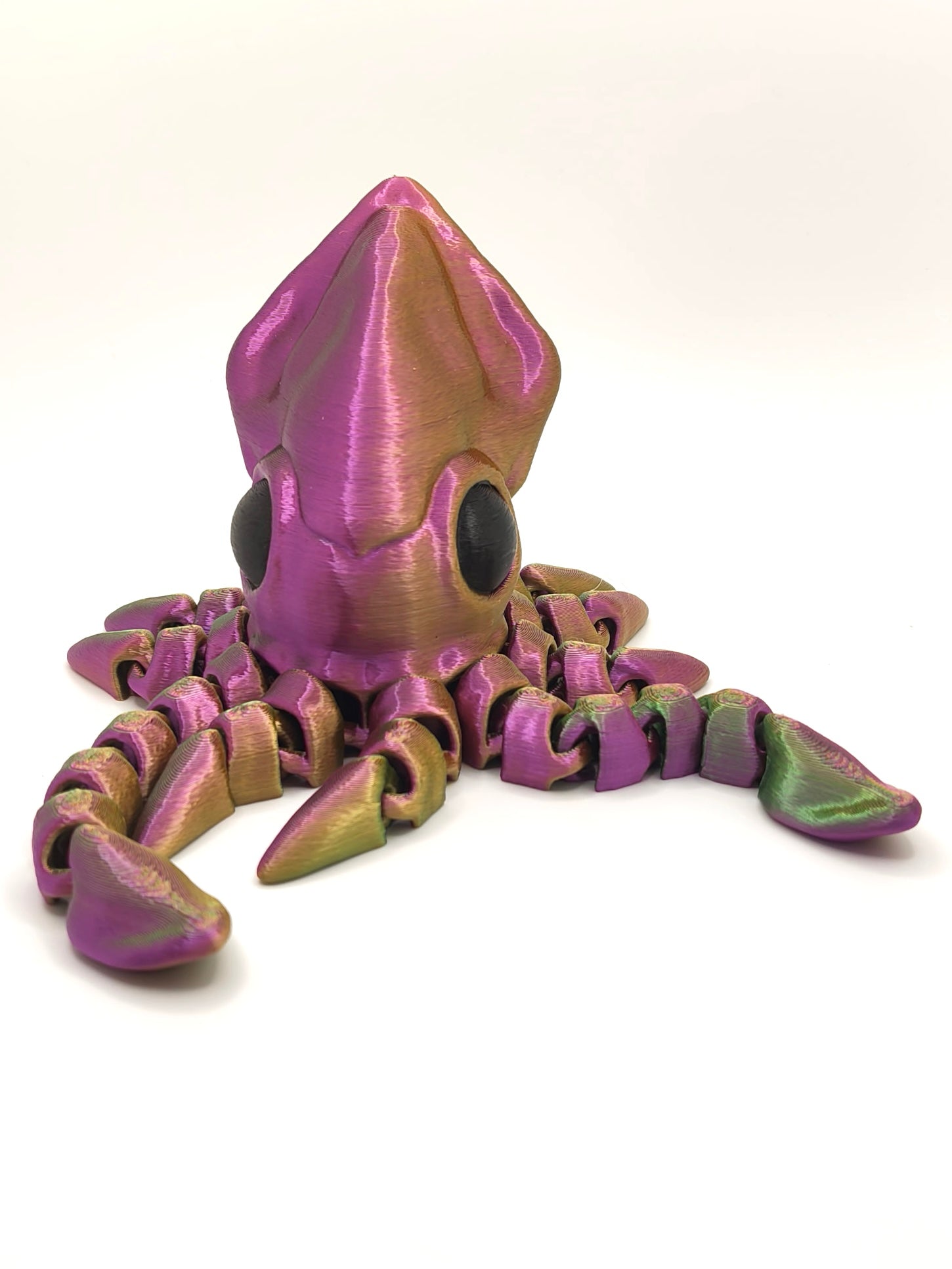 Squid