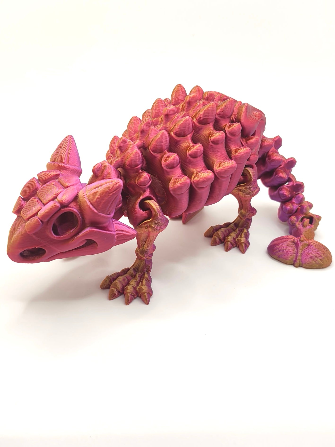 Skeleton Ankylosaurus