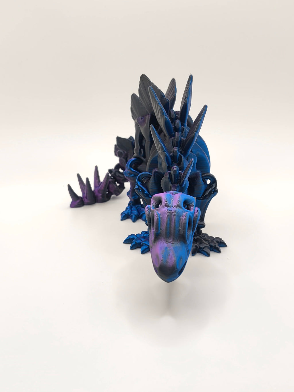 Skeleton Stegosaurus