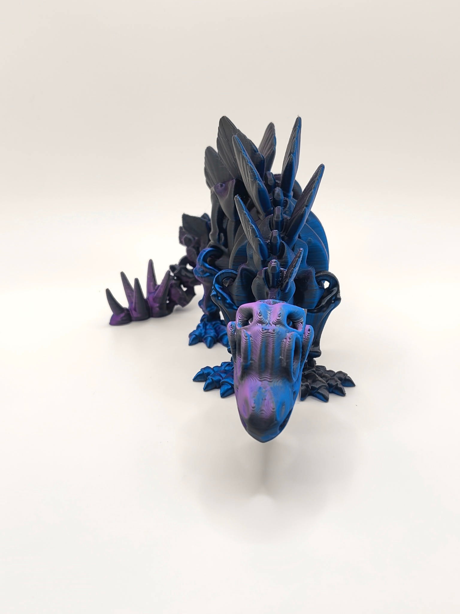 Skeleton Stegosaurus