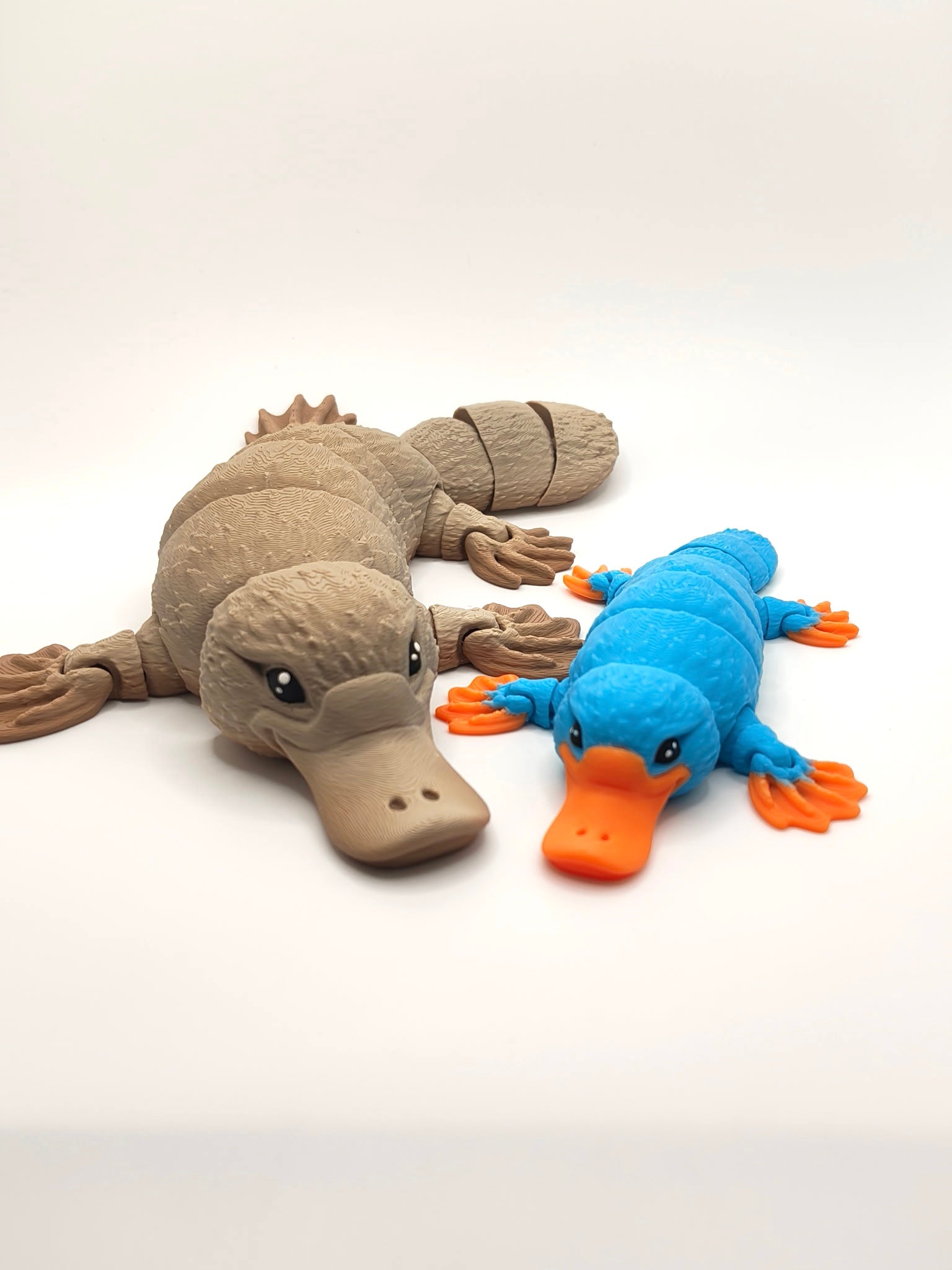 Platypus