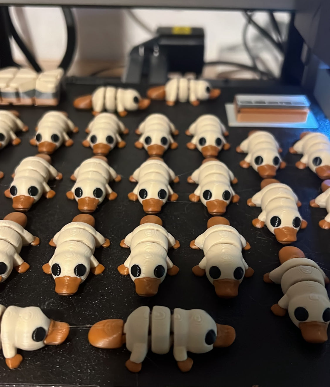 Mini Buddies!