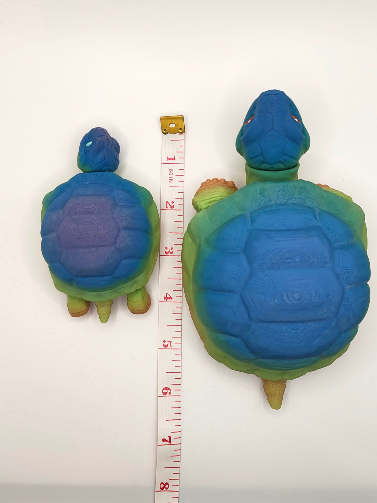 Tortoise