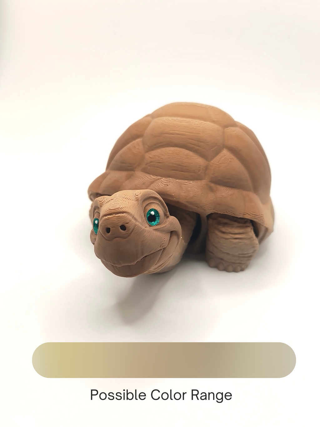 Tortoise