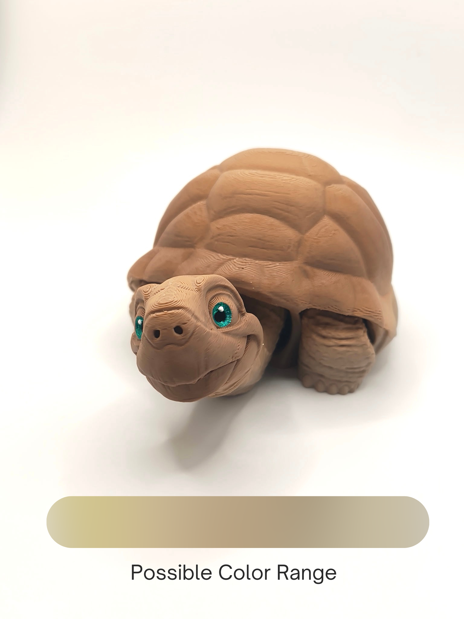 Tortoise