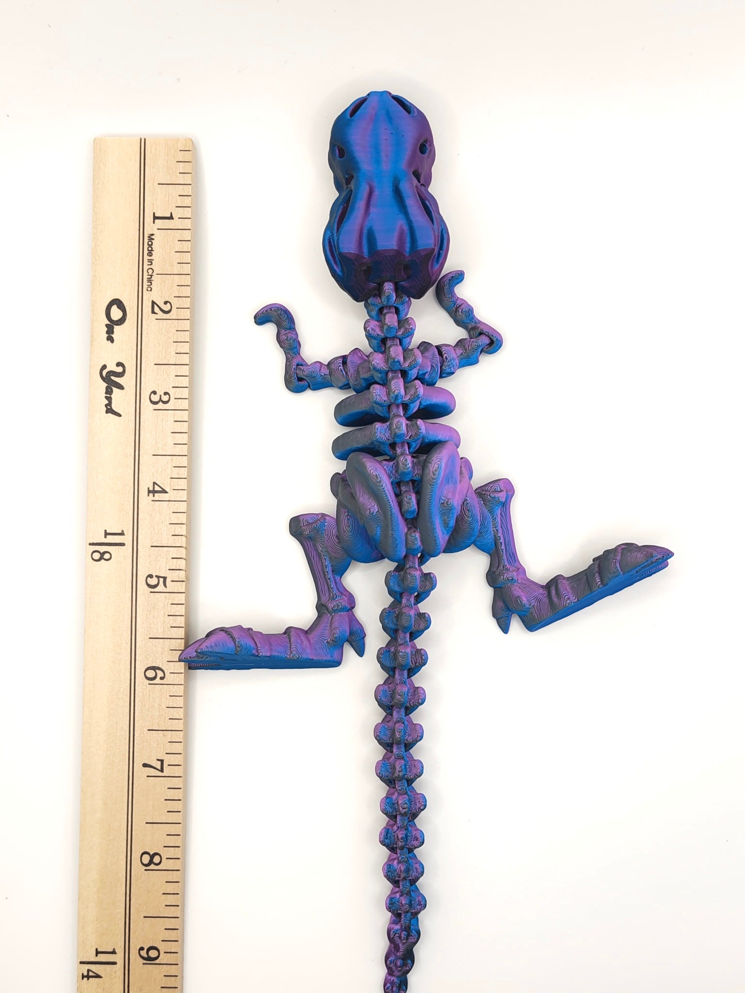Skeleton T-Rex