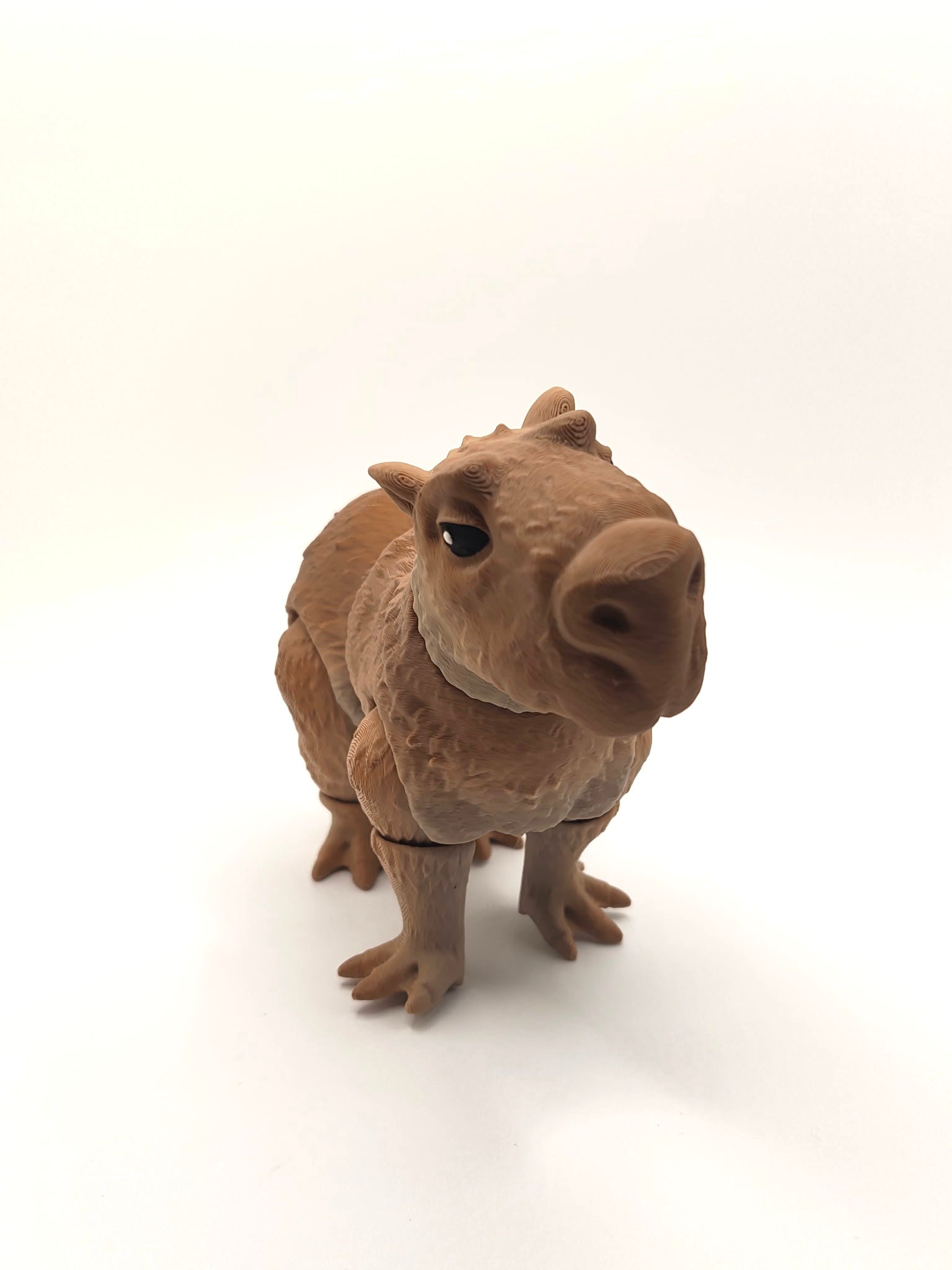 Capybara