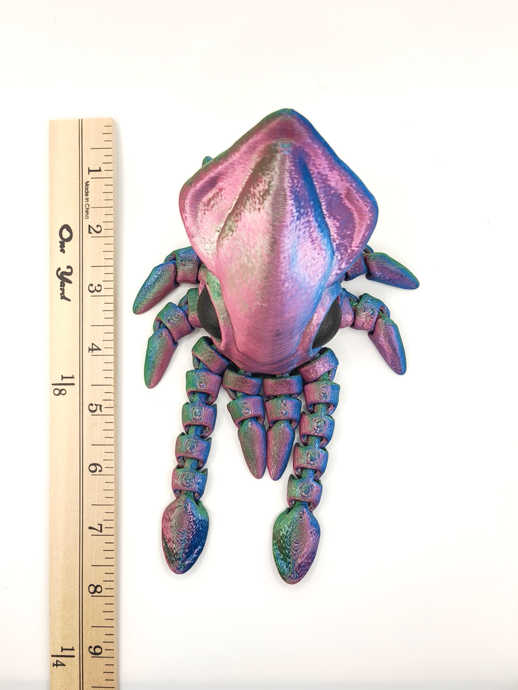 Squid