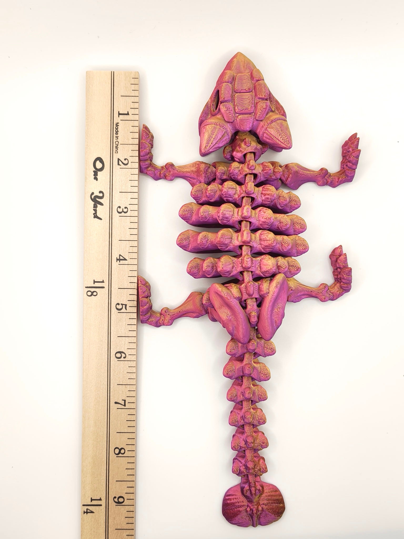 Skeleton Ankylosaurus
