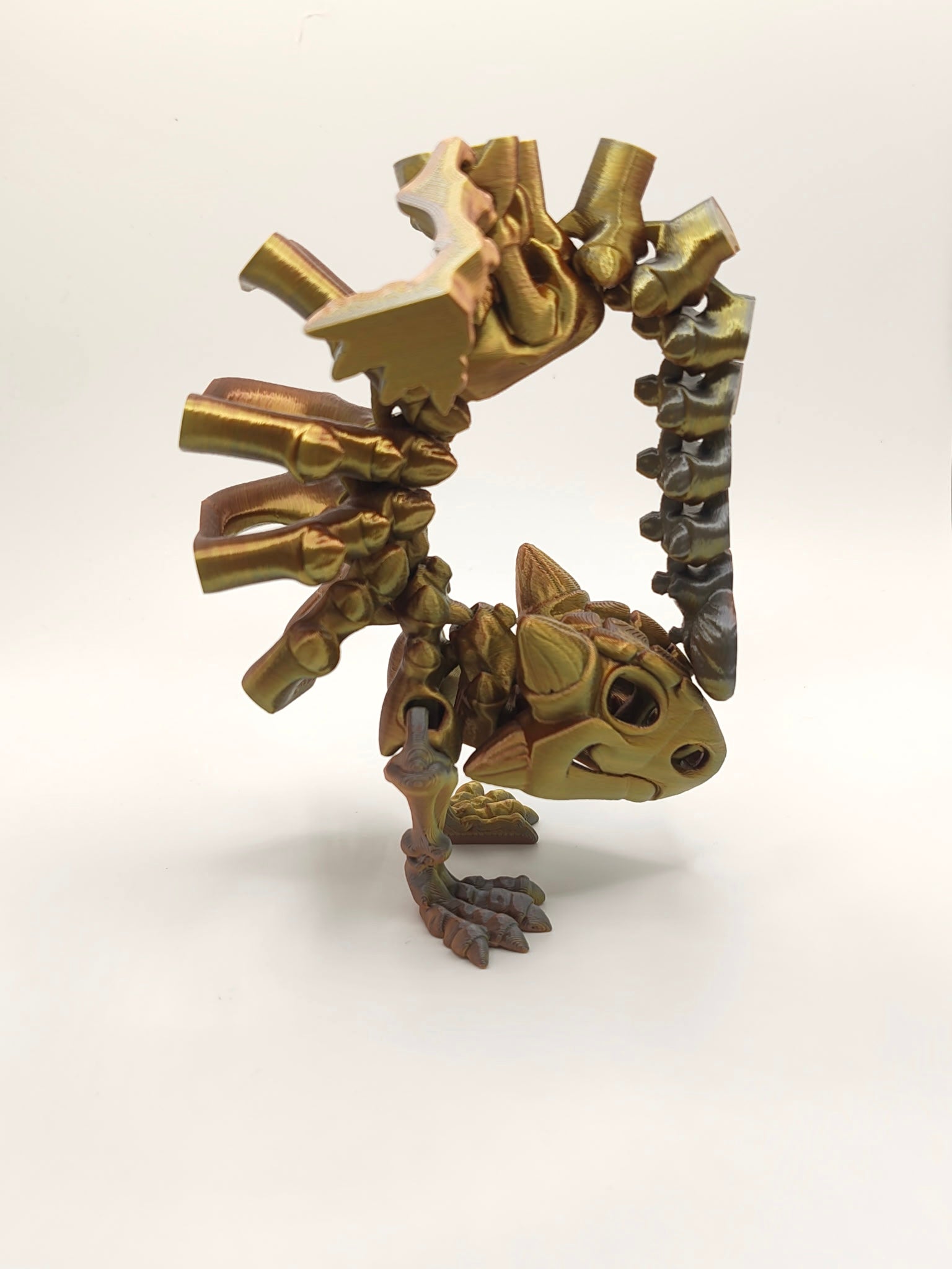 Skeleton Ankylosaurus