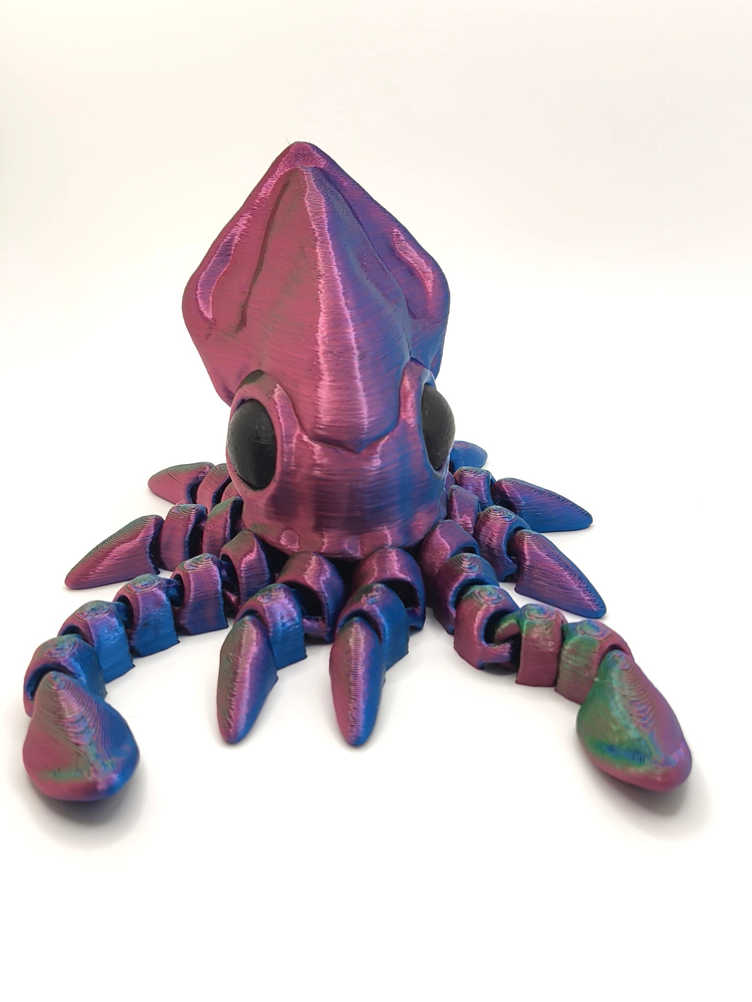Squid