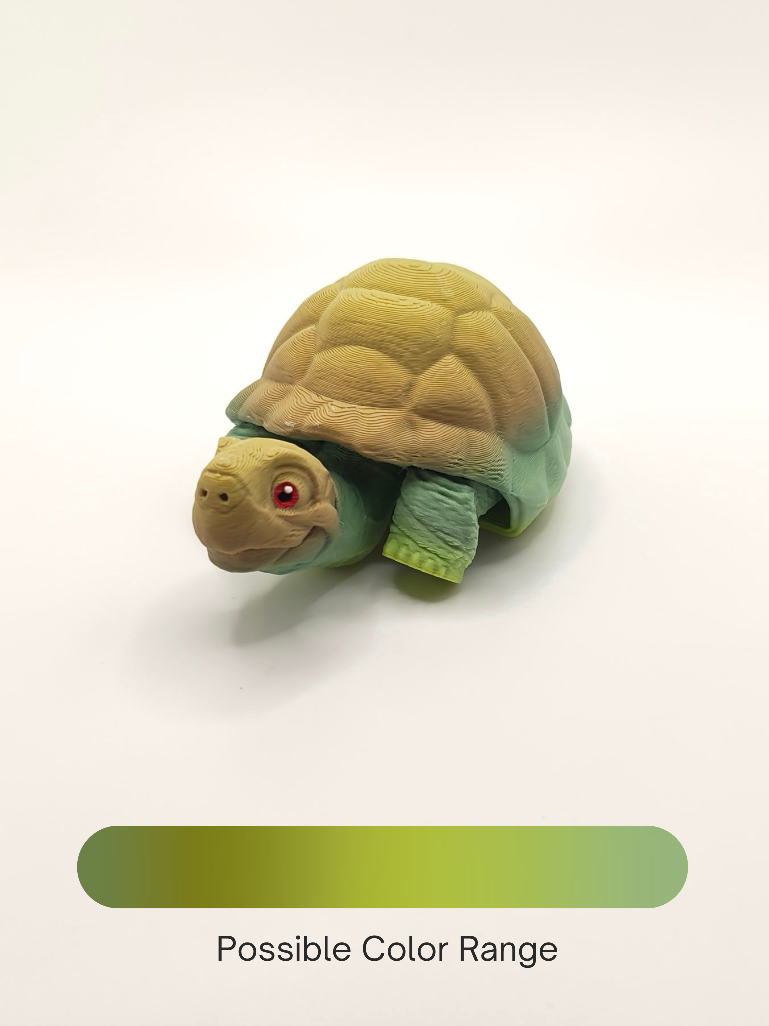 Tortoise