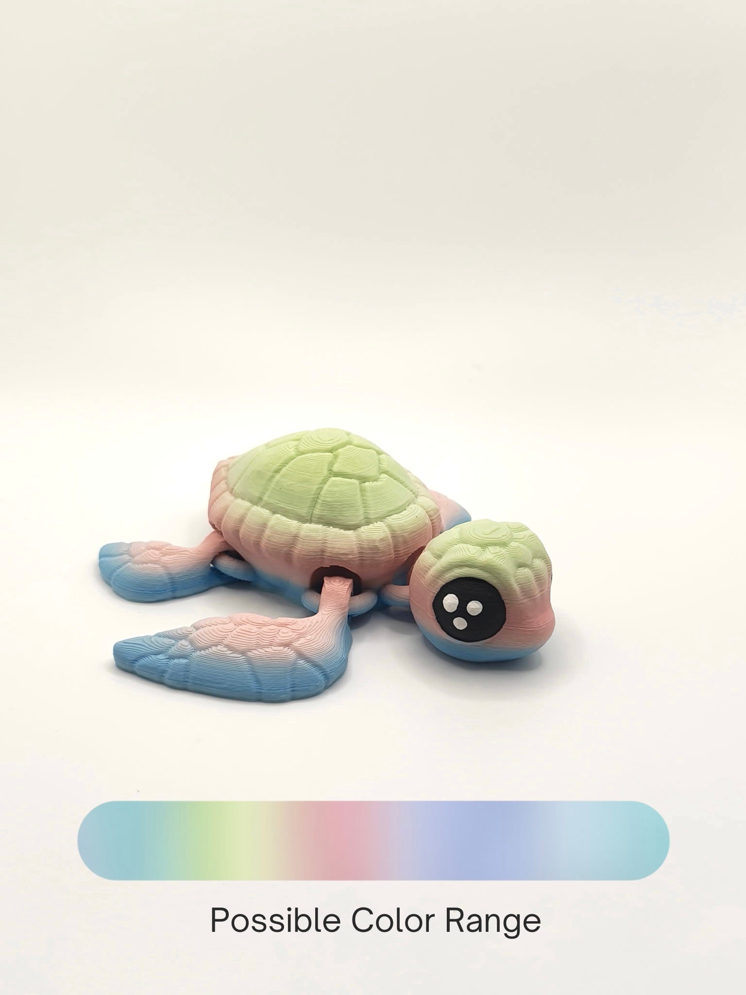 Sea turtle