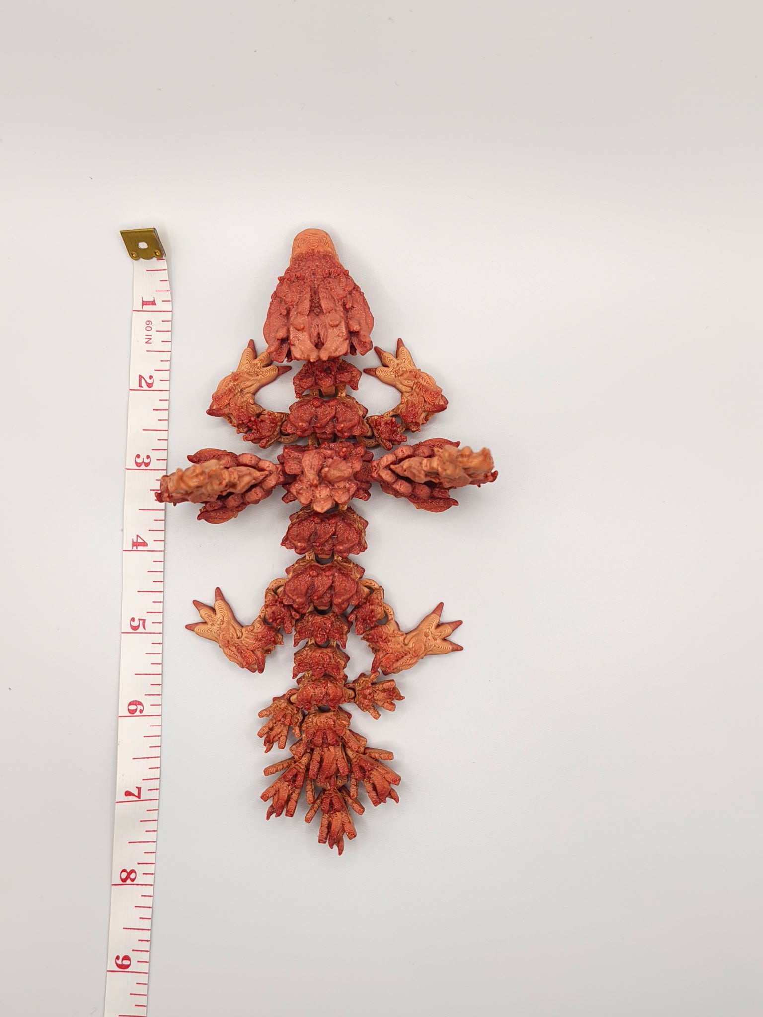 Baby Phoenix Dragon