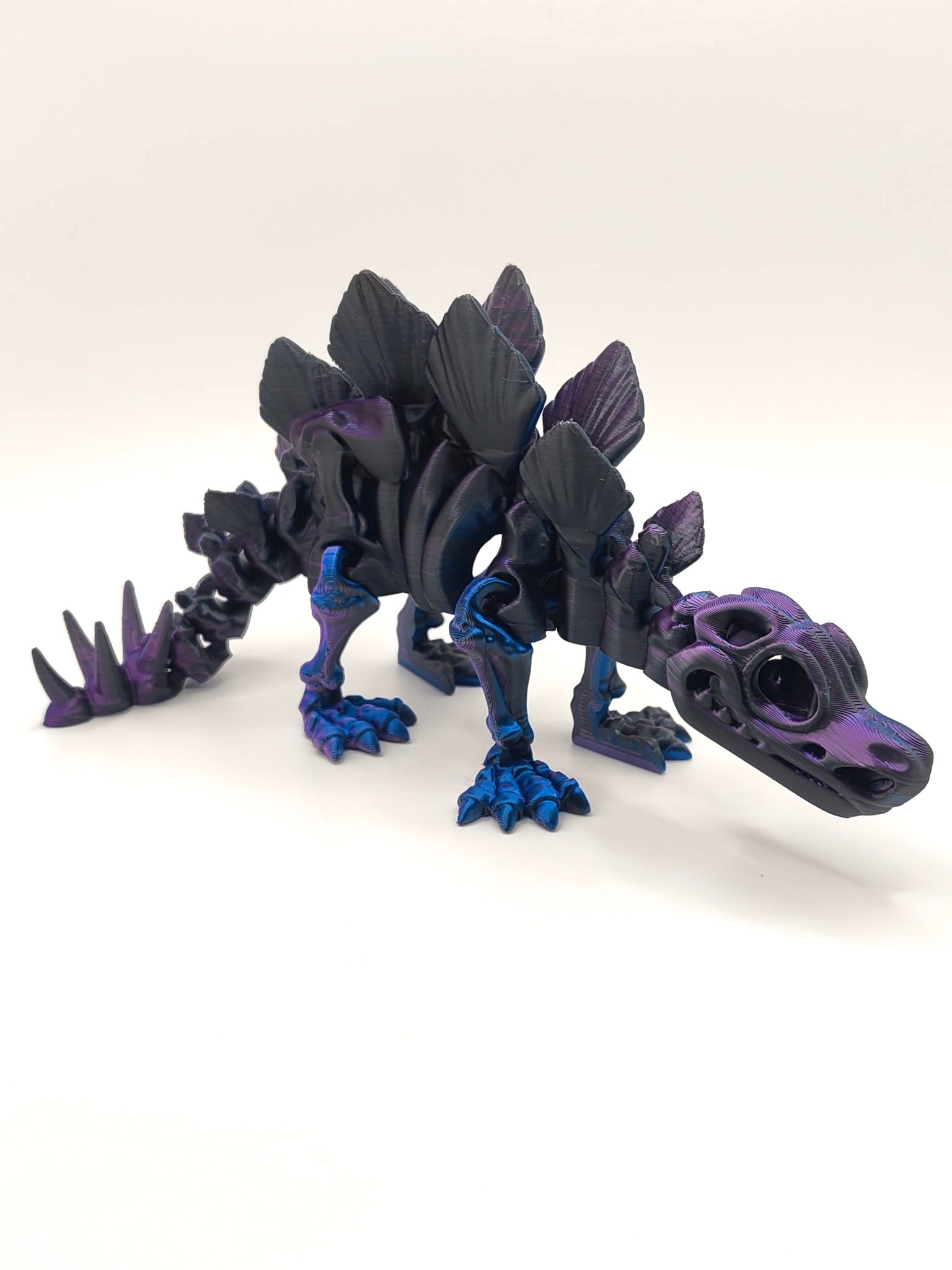 Skeleton Stegosaurus