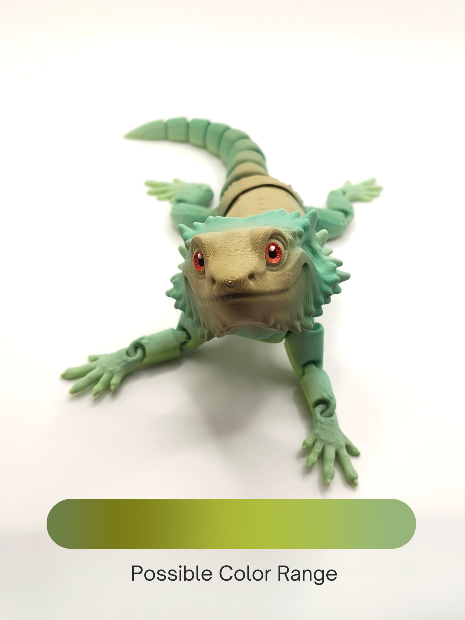 Bearded Dragon