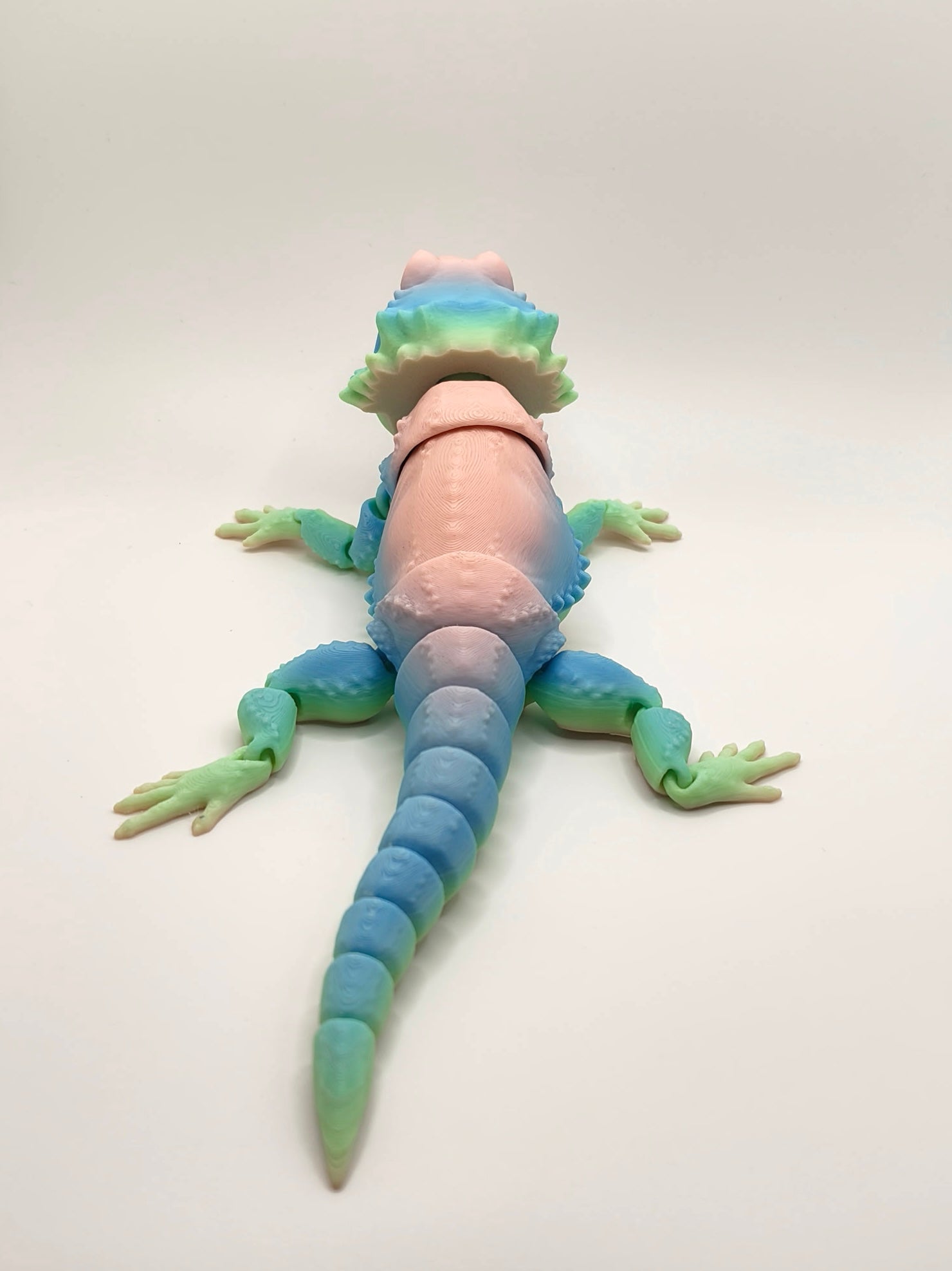 Bearded Dragon