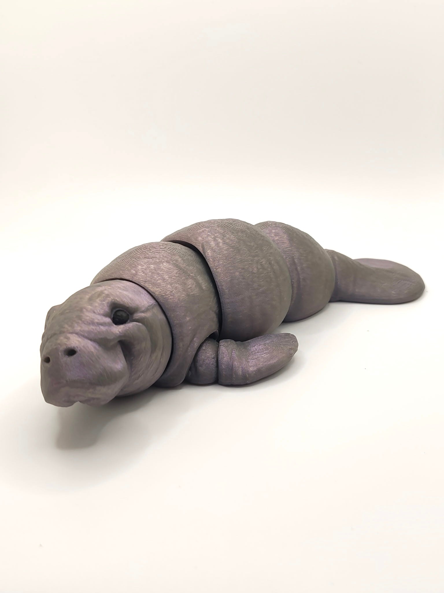 Manatee