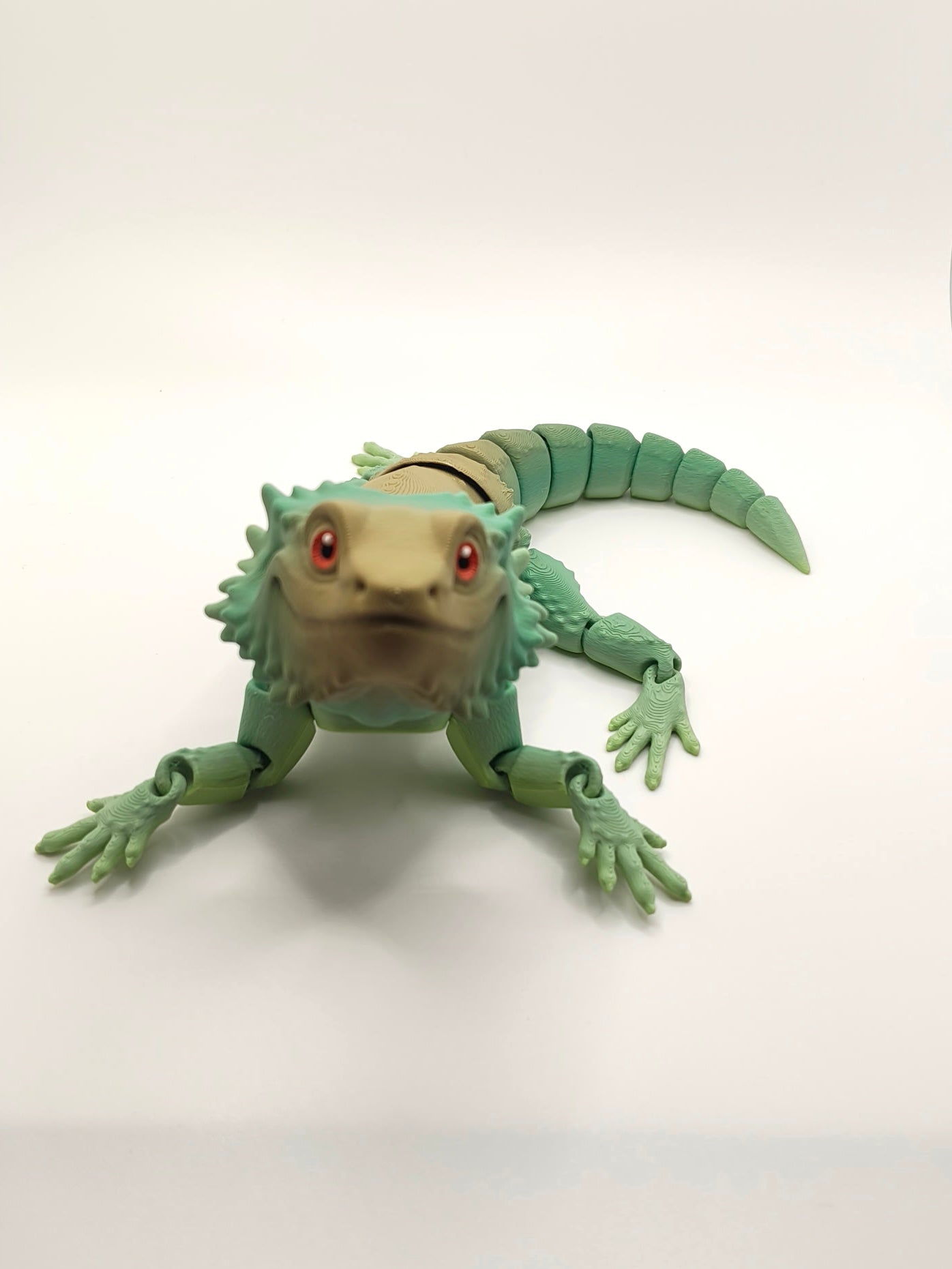 Bearded Dragon