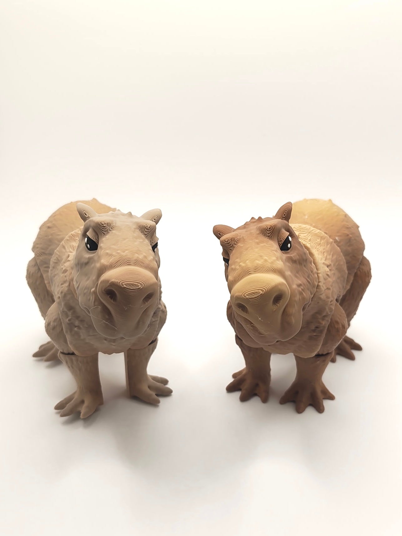 Capybara