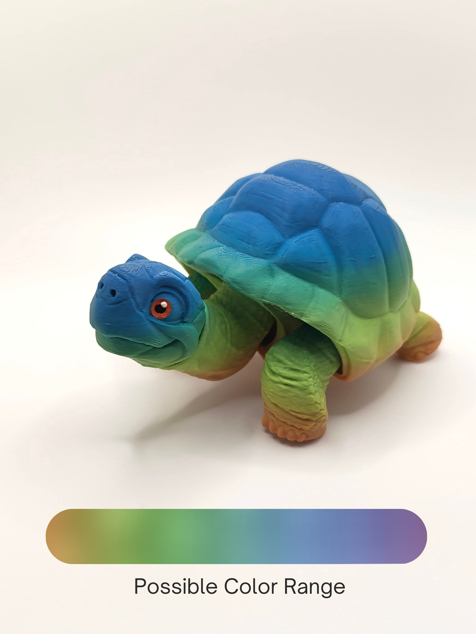 Tortoise