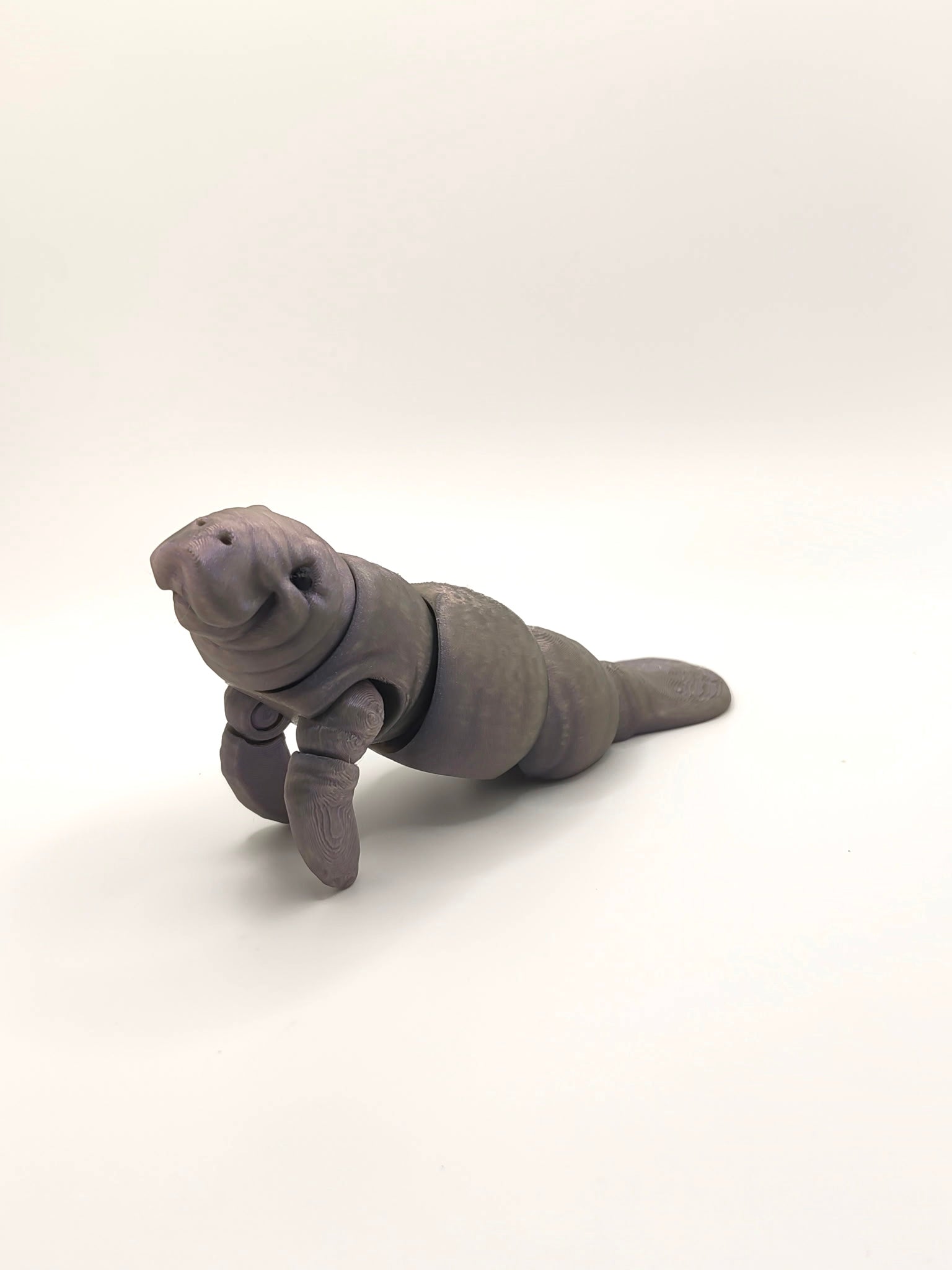 Manatee