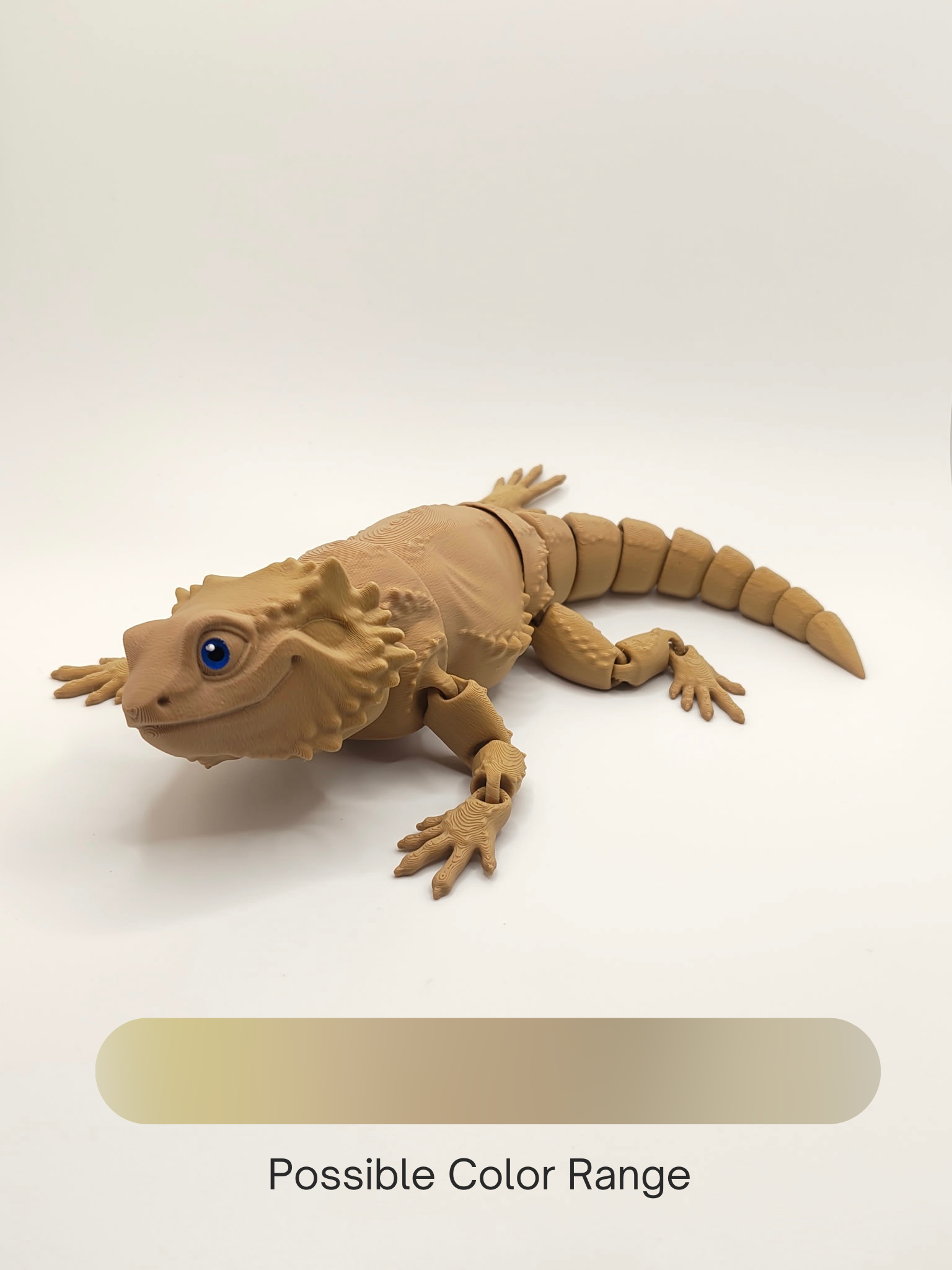 Bearded Dragon