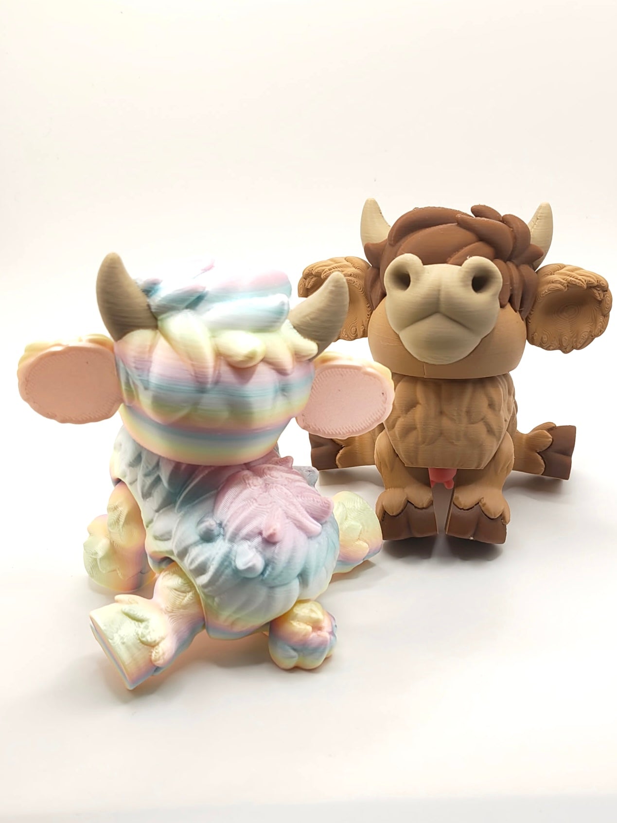 Highland Cow