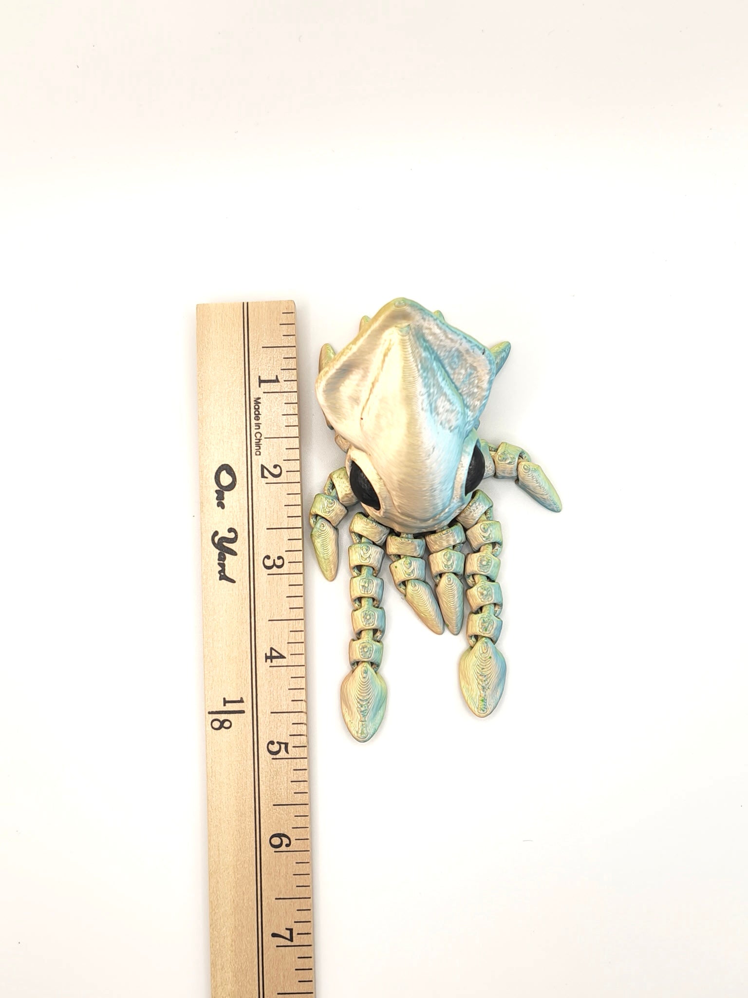 Squid