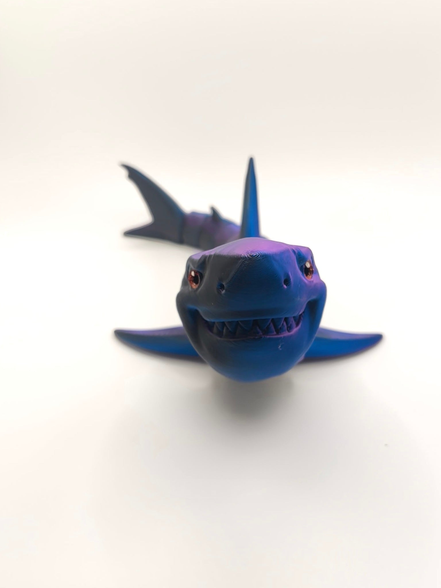Great White Shark