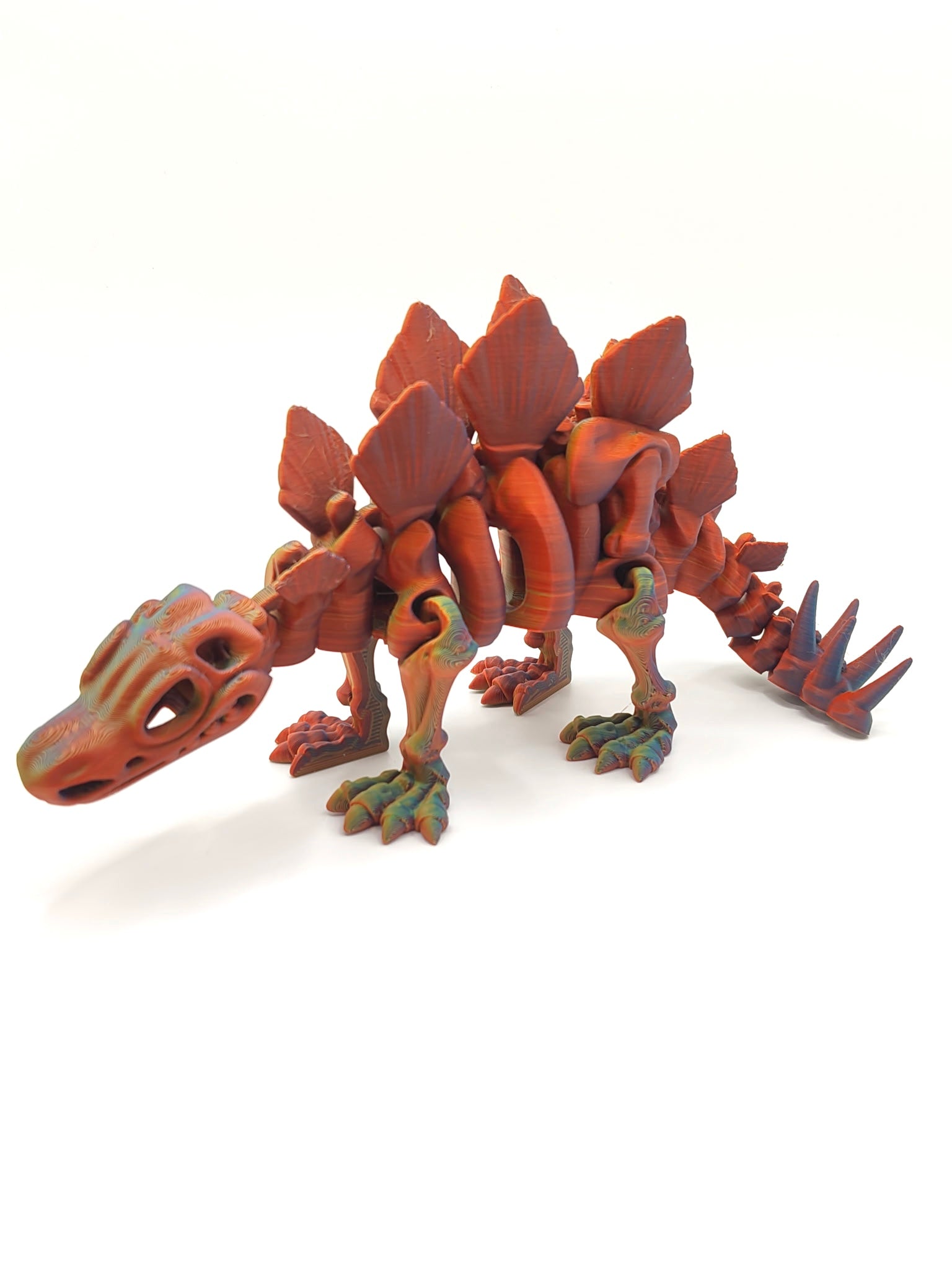 Skeleton Stegosaurus