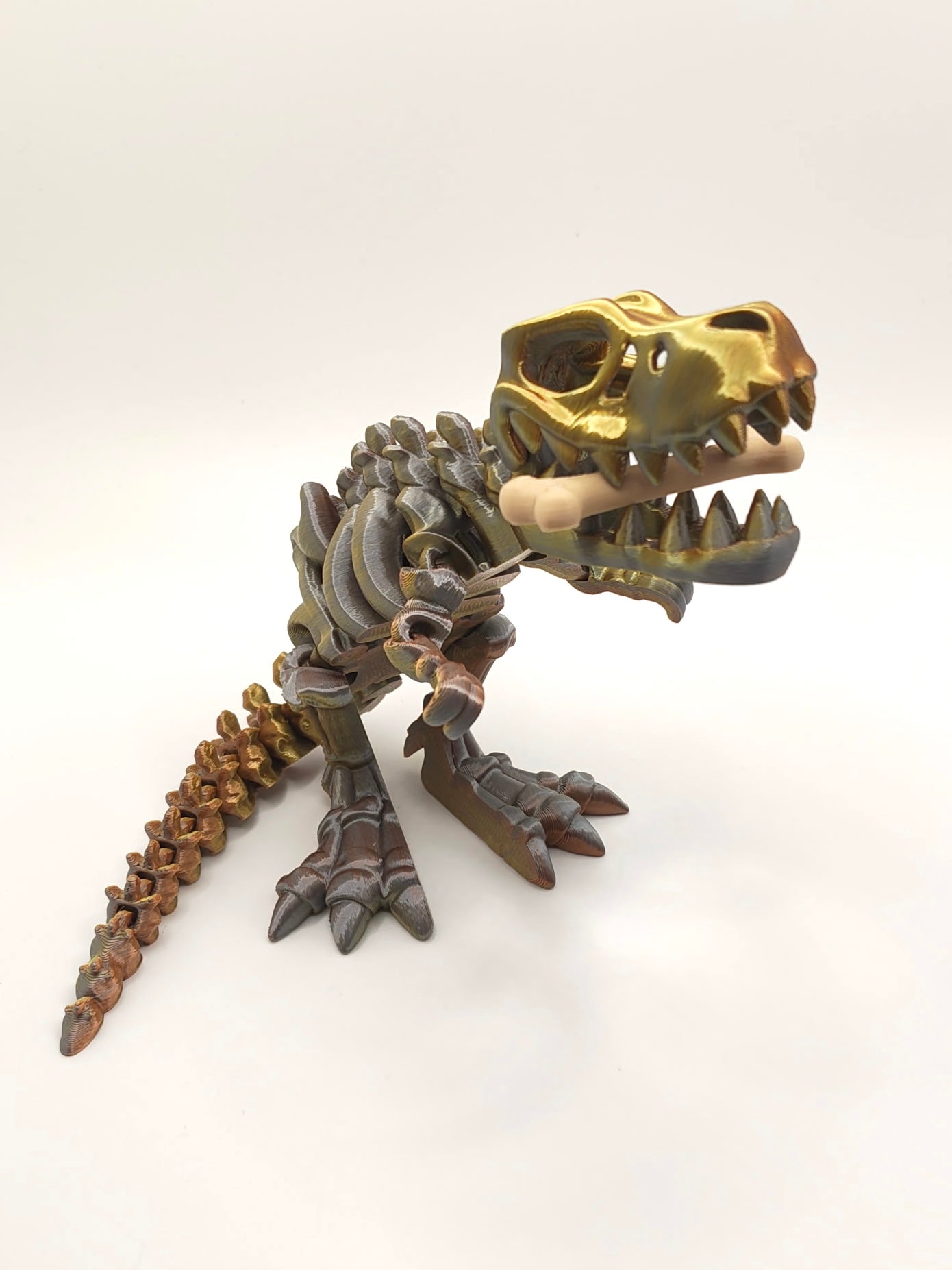 Skeleton T-Rex
