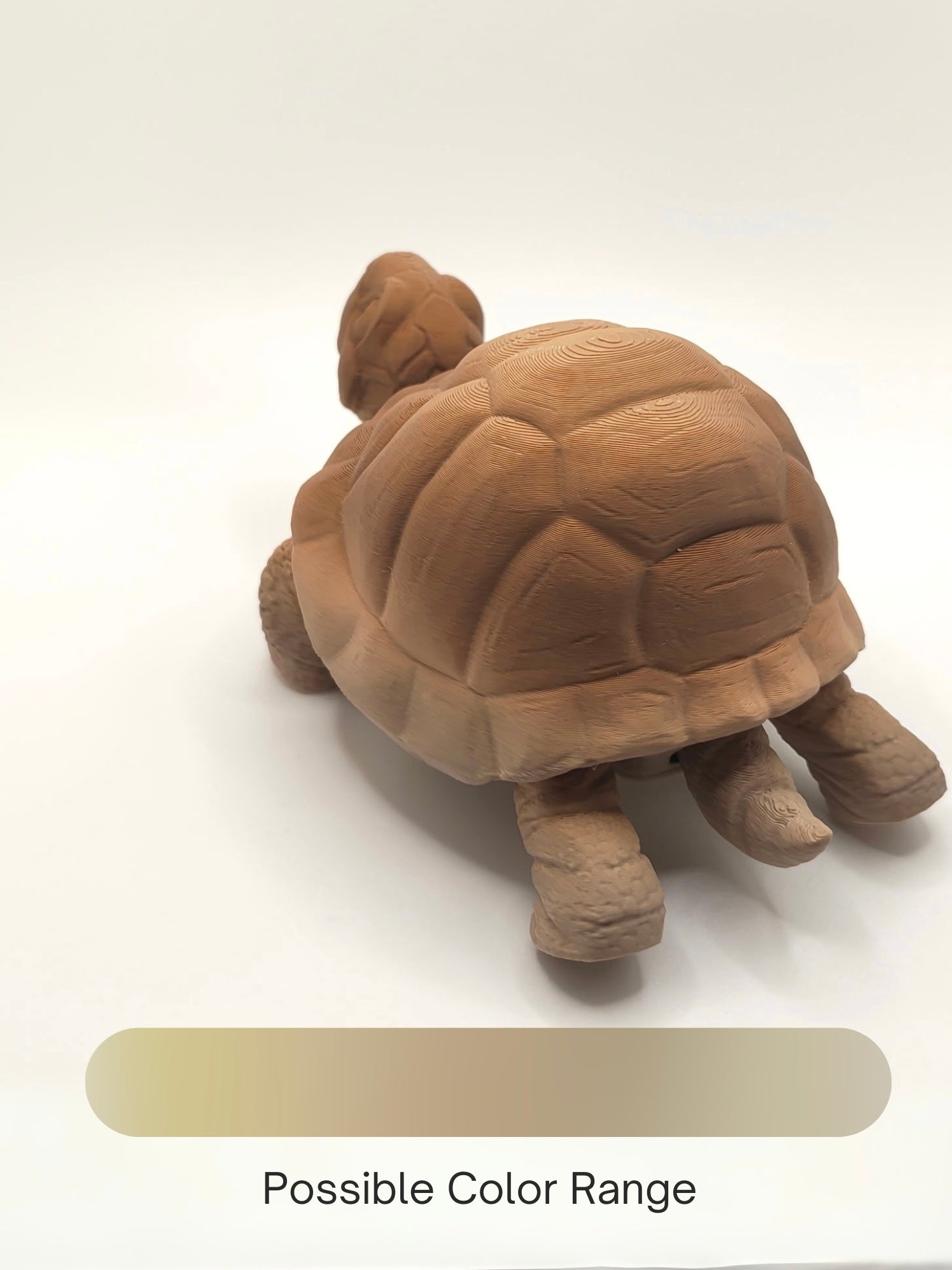Tortoise