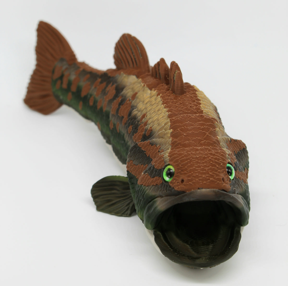 Large Mouth Bass Fish – Articulated 3D Printed Fish with Display Stand