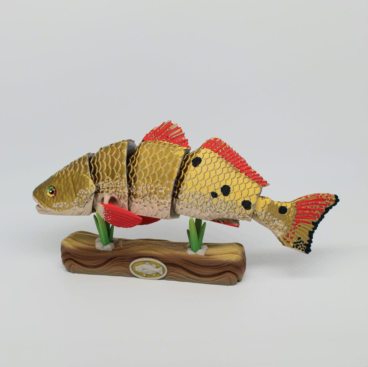 Red Drum Fish – Articulated 3D Printed Fish with Display Stand