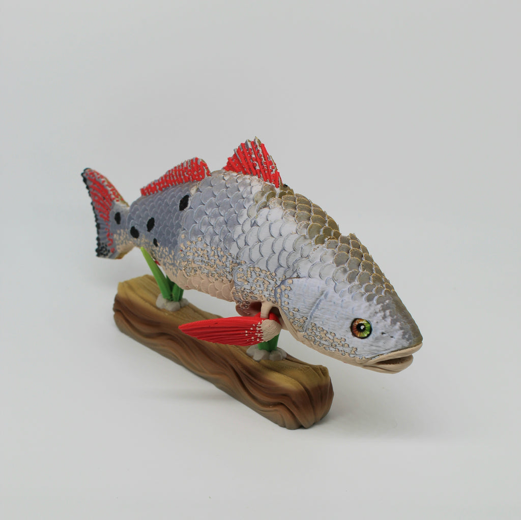 Red Drum Fish – Articulated 3D Printed Fish with Display Stand