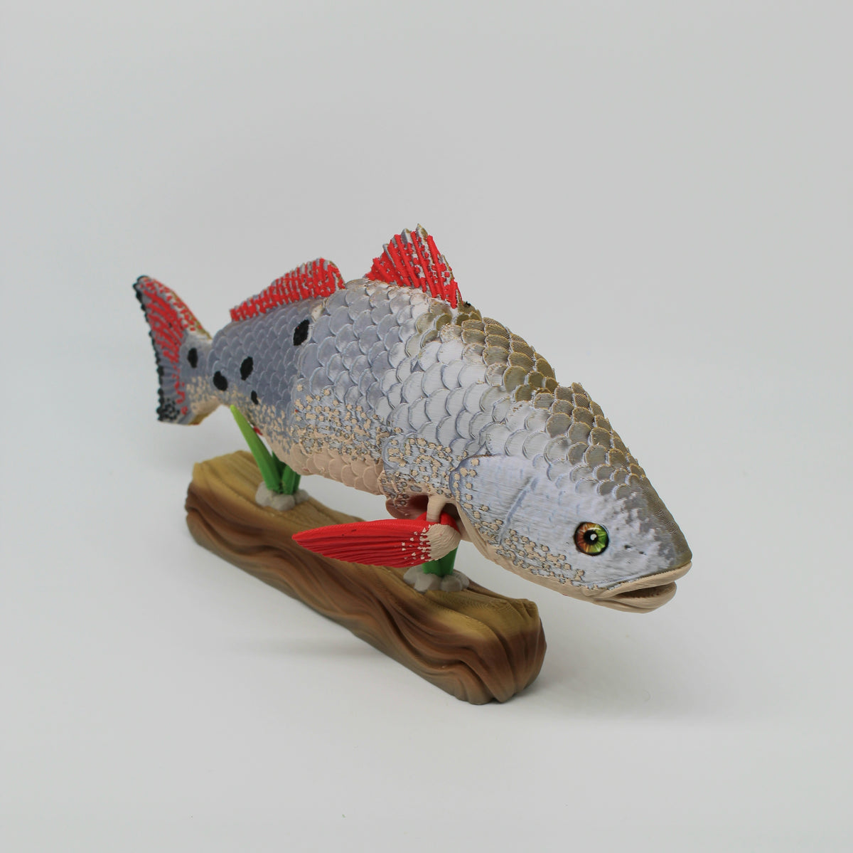 Red Drum Fish – Articulated 3D Printed Fish with Display Stand