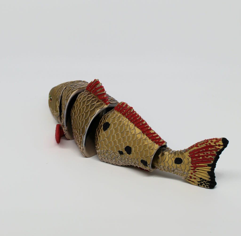 Red Drum Fish – Articulated 3D Printed Fish with Display Stand