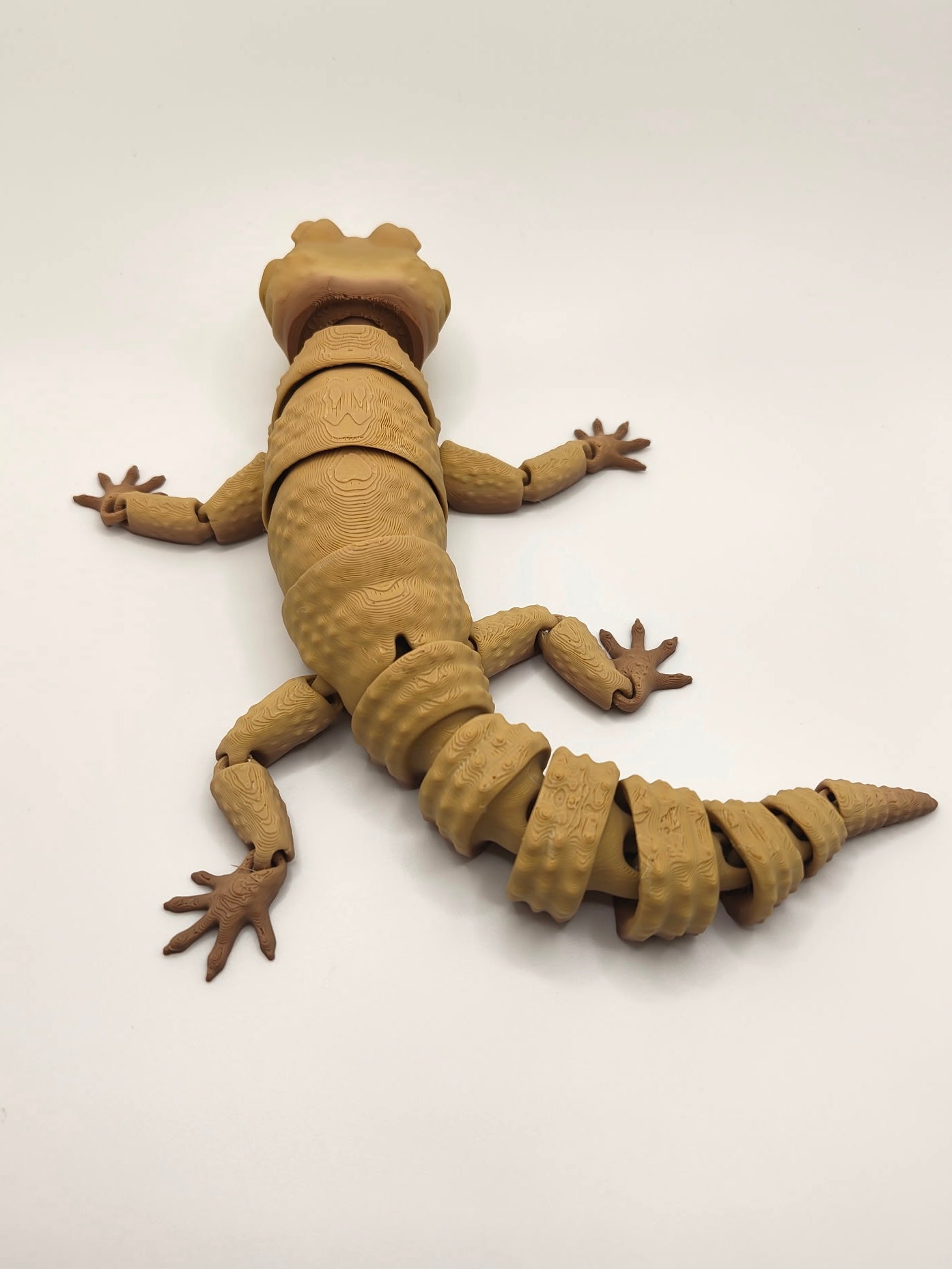 Licky Leopard Gecko