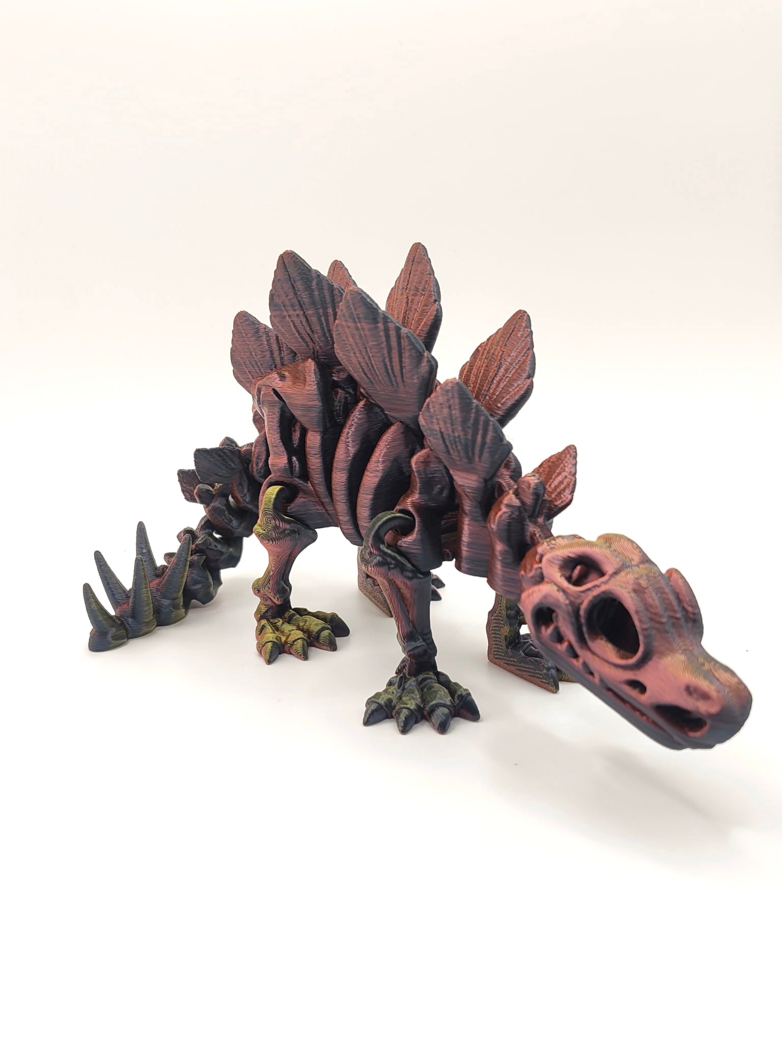 Skeleton Stegosaurus