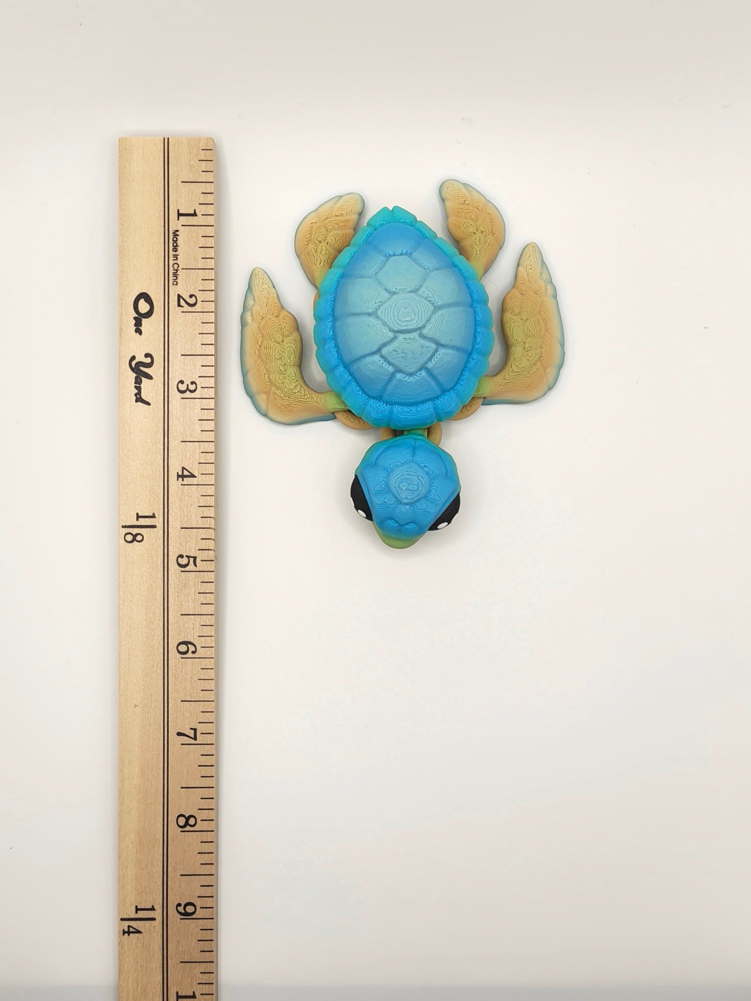 Sea turtle