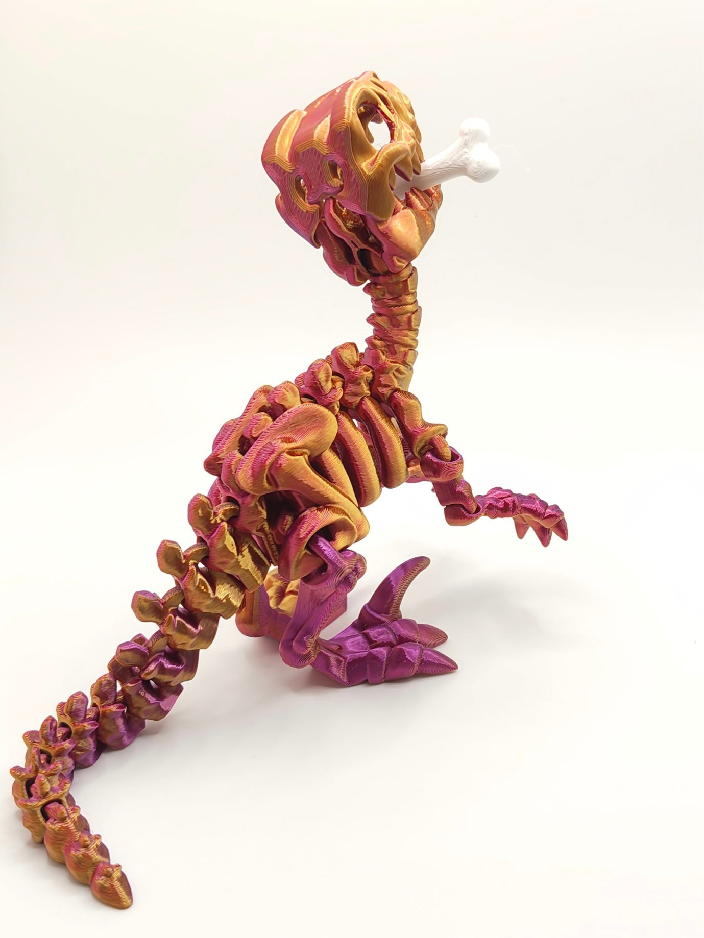 Skeleton Velocitaptor