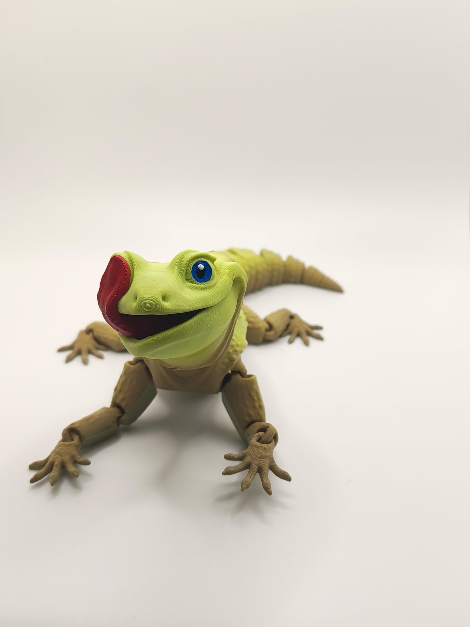 Licky Leopard Gecko