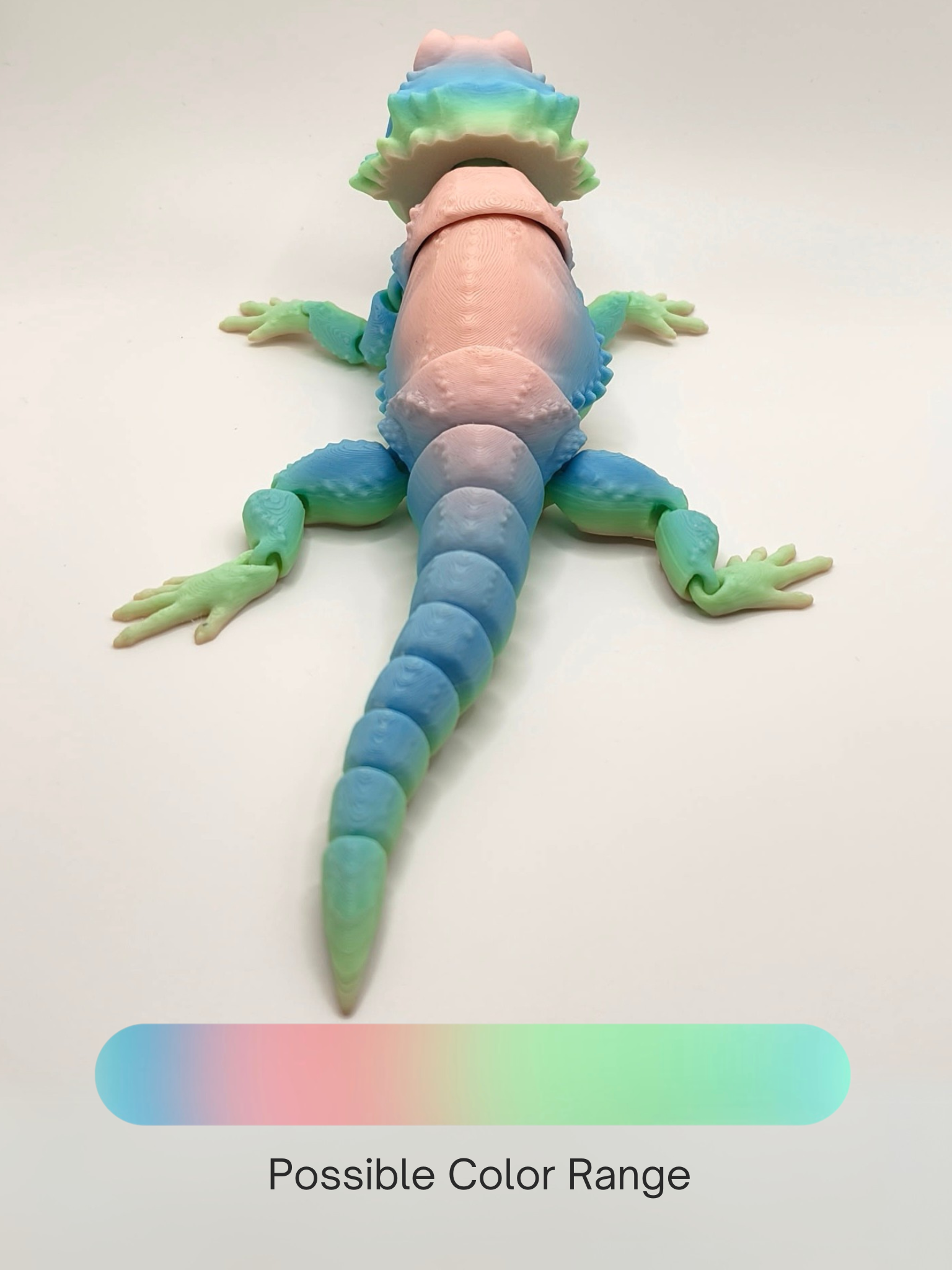 Bearded Dragon