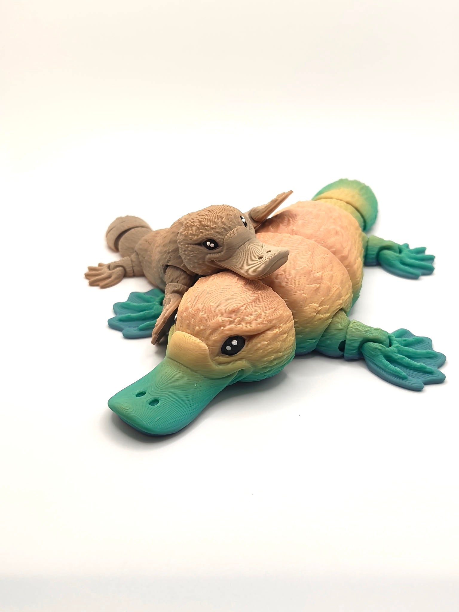Platypus