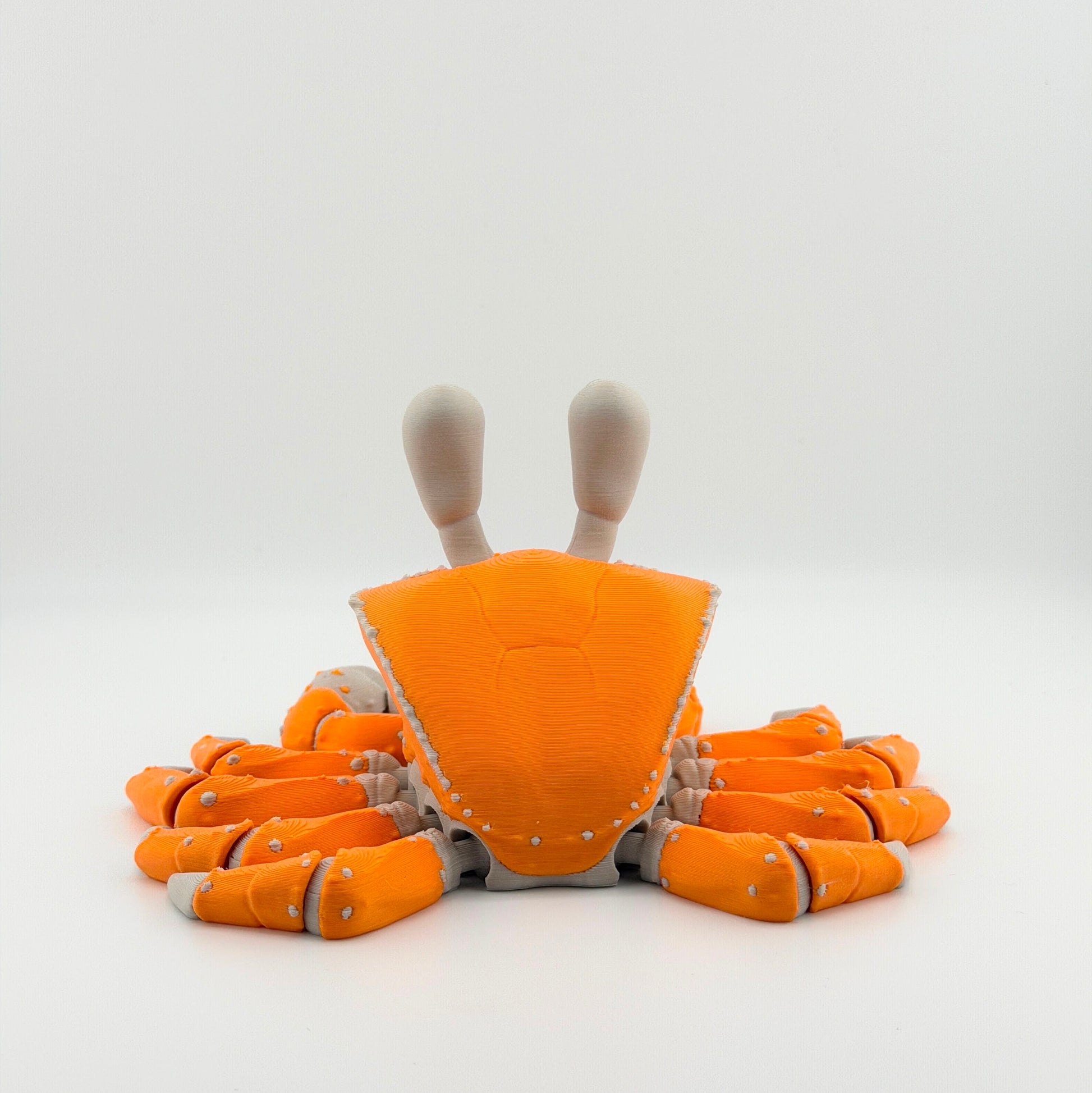 Rear view of an orange articulated 3D printed ghost crab showing flexible legs.